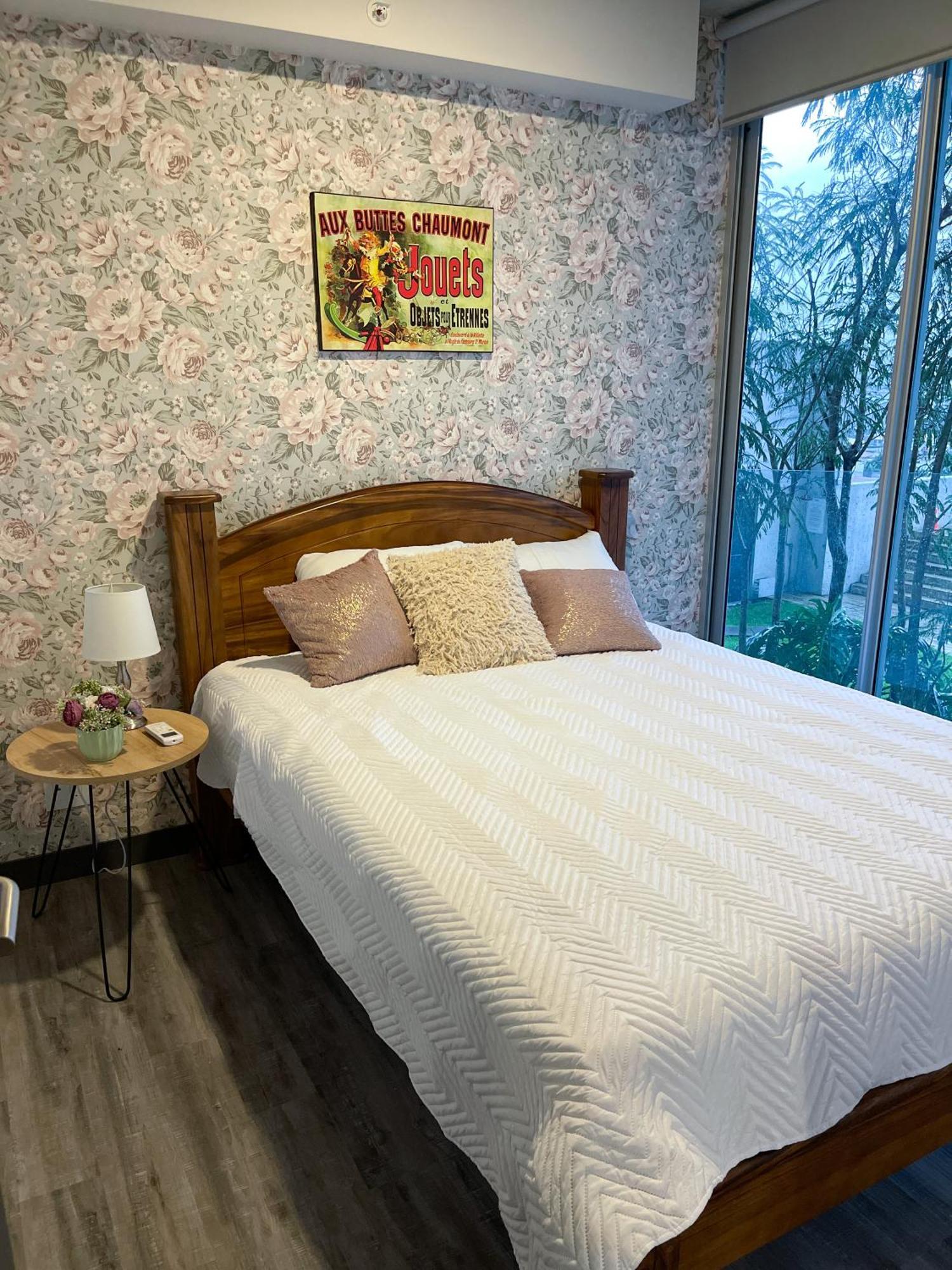 Apartment In San Jose, La Sabana San Jose (San Jose)